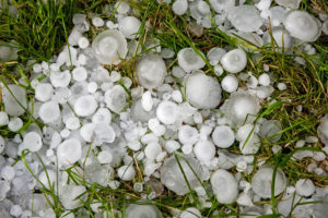 hail in grass